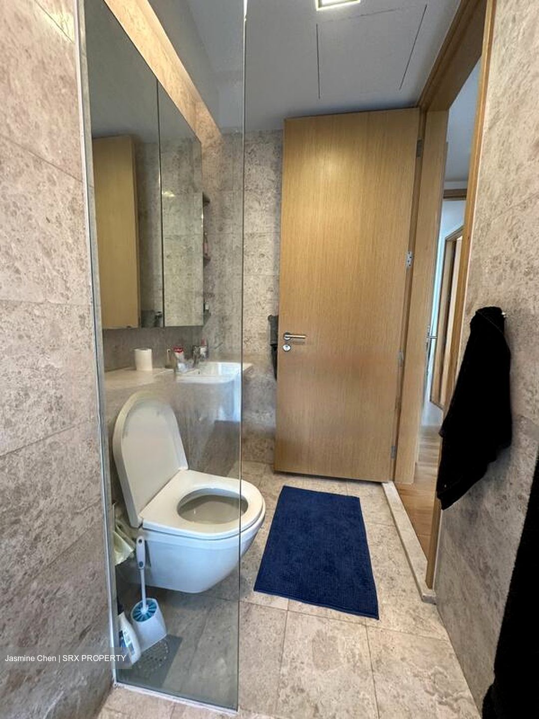 Soleil @ Sinaran (D11), Condominium #482542921